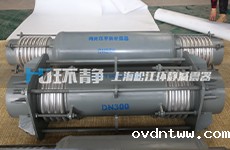 taptap游戏平台苹果客户端向千吨级煤气化项目供应补偿器