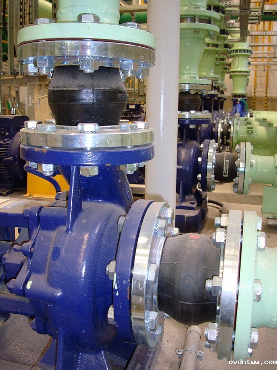 泵出口弹性橡胶接头